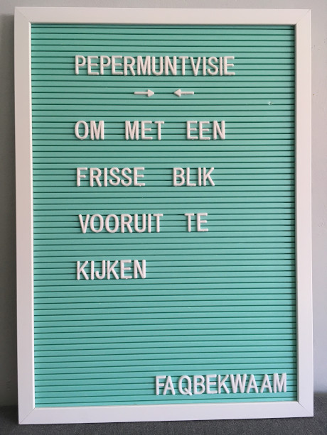 Pepermuntvisie - Om met een frisse blik vooruit te kijken - FAQbekwaam