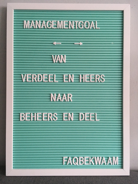 Managementgoal - Van verdeel en heers naar beheers en deel - FAQbekwaam