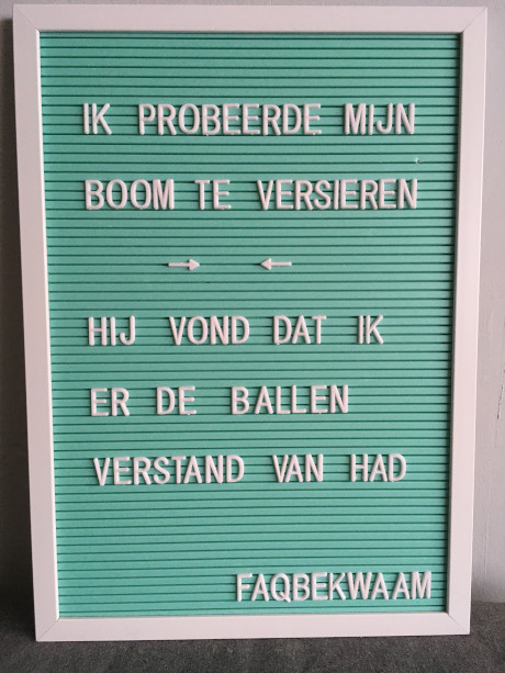 Ik probeerde mijn boom te versieren - Hij vond dat ik er de ballen verstand van had - FAQbekwaam