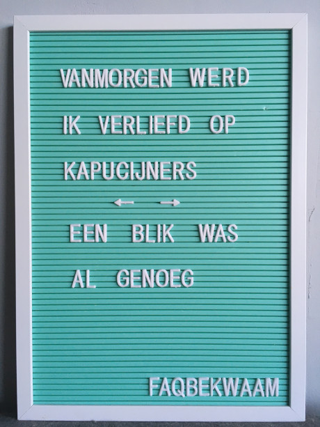 Vanmorgen werd ik verliefd op kapucijners - een blik was al genoeg - FAQbekwaam