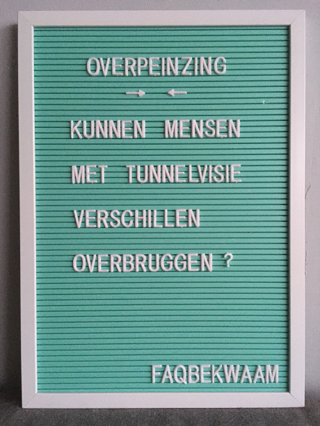 Overpeinzing - kunnen mensen met tunnelvisie verschillen overbruggen? - FAQbekwaam