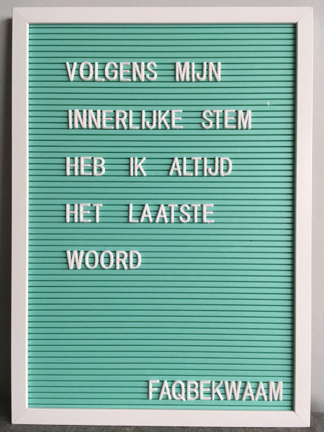 Volgens mijn innerlijke stem heb ik altijd het laatste woord - FAQbekwaam