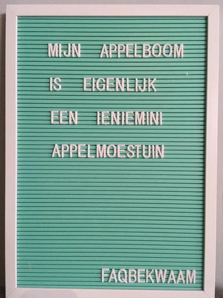 Mijn apelboom is eigenlijk een ieniemini appelmoestuin - FAQbekwaam