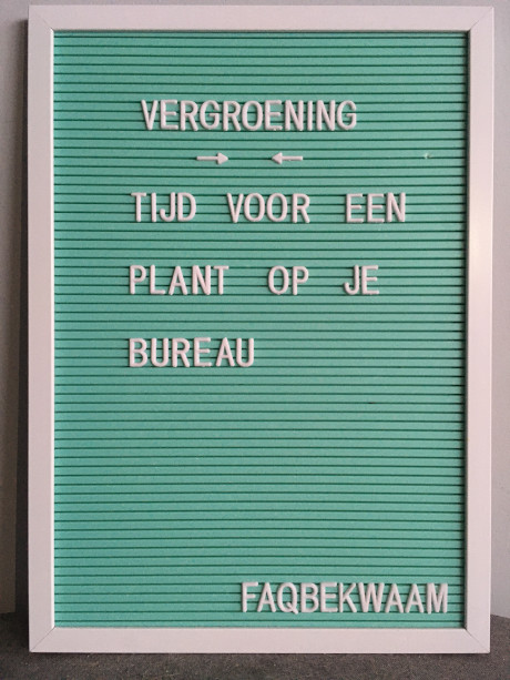 Vergroening - tijd voor een plant op je bureau - FAQbekwaam