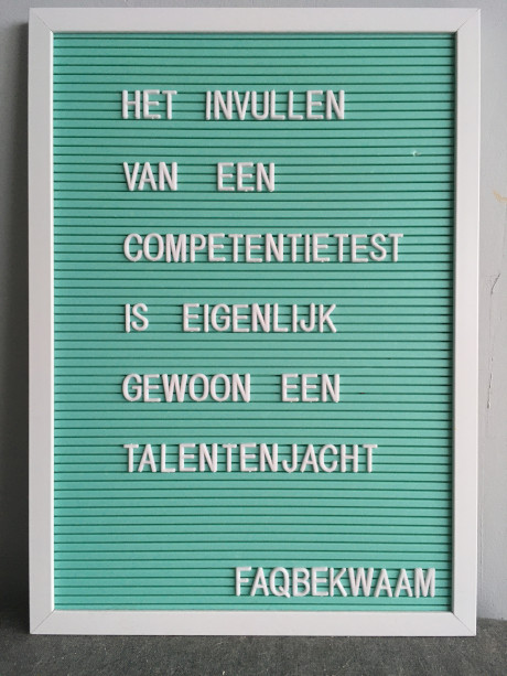 Het invullen van een competentietest is eigenlijk gewoon een talentenjacht - FAQbekwaam