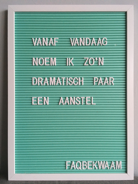 Vanaf vandaag noem ik zo'n dramatisch paar een aanstel - FAQbekwaam