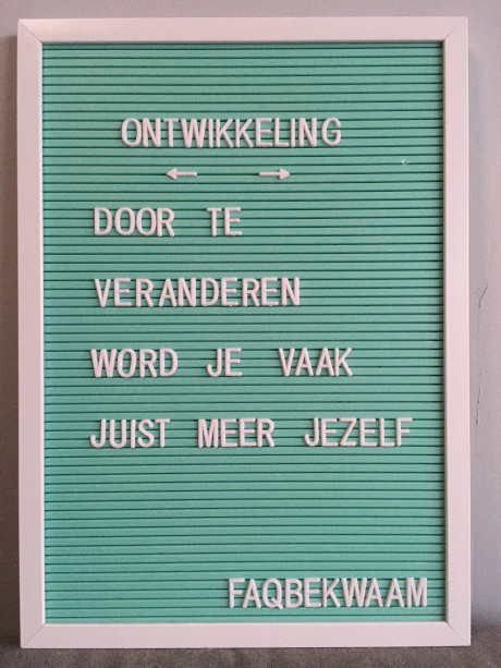 Ontwikkeling - door te veranderen word je vaak juist meer jezelf - FAQbekwaam