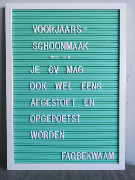 Voorjaarsschoonmaak - je cv mag ook wel eens afgestoft en opgepoetst worden - FAQbekwaam