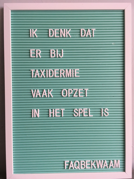 Ik denk dat er bij taxidermie vaak opzet in het spel is - FAQbekwaam