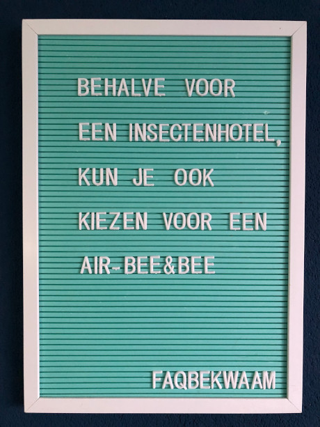 Behalve voor een insectenhotel, kun je ook kiezen voor een Air-Bee&Bee - FAQbekwaam