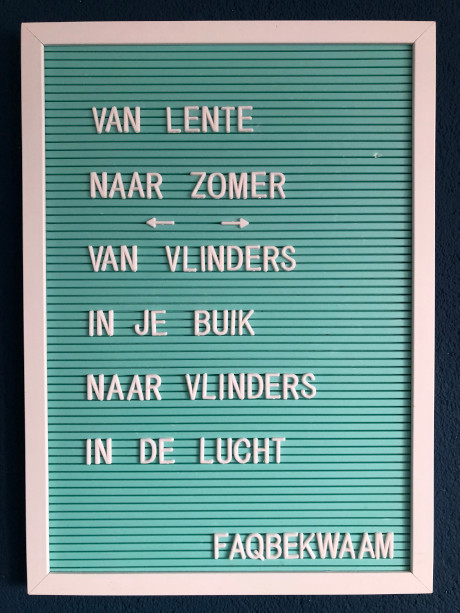 Van lente naar zomer - van vlinders in je buik naar vlinders in de lucht - FAQbekwaam