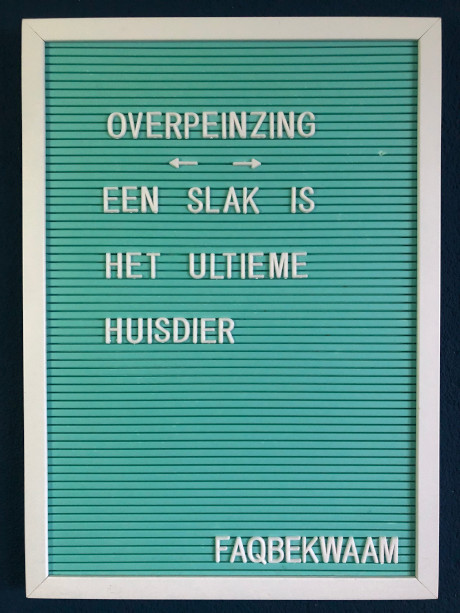 Overpeinzing - een slak is het ultieme huisdier - FAQbekwaam