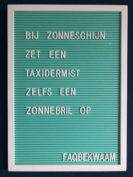 Bij zonneschijn zet een taxidermist zelfs een zonnebril op - FAQbekwaam