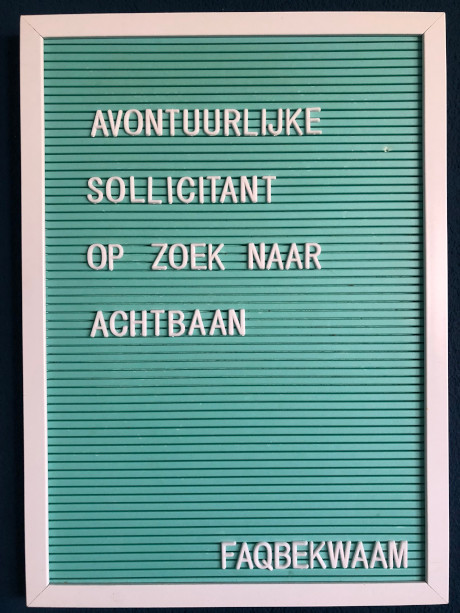 Avontuurlijke sollicitant op zoek naar achtbaan - FAQbekwaam