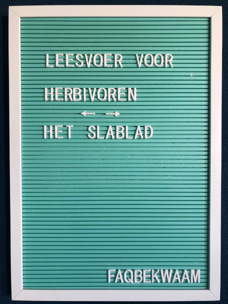 Leesvoer voor herbivoren - het slablad - FAQbekwaam