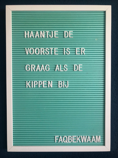 Haantje de voorste is er graag als de kippen bij - FAQbekwaam