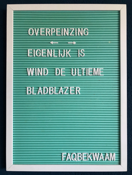 Overpeinzing - eigenlijk is wind de ultieme bladblazer - FAQbekwaam